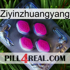 Ziyinzhuangyang 02